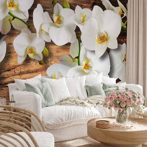 Fototapeta Sněhobílé orchideje - bílý rostlinný motiv na pozadí syrového dřeva