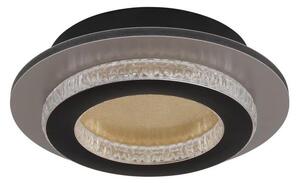 Globo 48042-12G - LED Stropní svítidlo JAYDEN LED/12W/230V pr. 20 cm černá