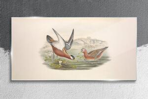 Obraz na skle Obraz na skle Zvířata ptáků