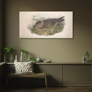 Obraz na skle Obraz na skle Ptáci béžová zvířata