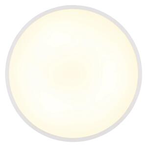 Globo 41566-15W - LED Stropní svítidlo NIELSEN LED/15W/230V 4000K pr. 23 cm bílá