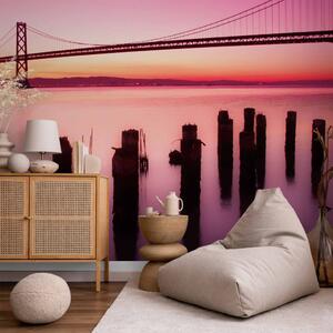 Fototapeta San Francisco Bay in violet, California
