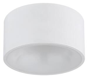Globo 56964W - LED Stropní svítidlo RAYMOND LED/12W/230V 3000K pr. 15 cm bílá