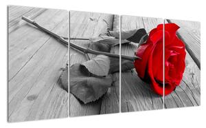 Obraz růže s červeným květem (160x80cm)