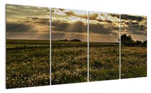 Moderní obraz přírody (160x80cm)