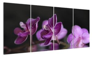 Obraz květů (160x80cm)