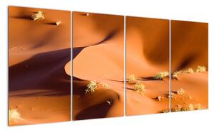 Obraz pouštích dun (160x80cm)