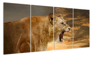 Obraz řvoucího lva (160x80cm)