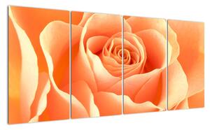 Obraz oranžové růže (160x80cm)