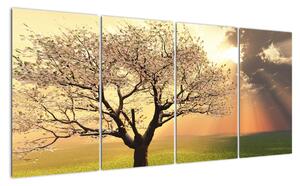 Obraz přírody - strom (160x80cm)