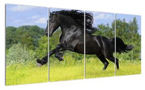 Obraz koně (160x80cm)