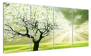 Jarní strom - moderní obraz (160x80cm)