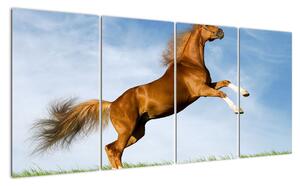 Obraz koně na zadních (160x80cm)