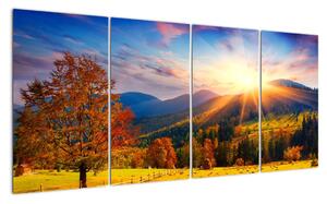 Obraz - podzim v přírodě (160x80cm)
