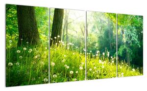 Moderní obrazy přírody (160x80cm)