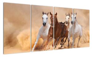 Obrazy běžících koní (160x80cm)