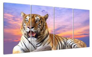 Obraz ležícího tygra (160x80cm)