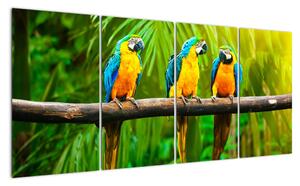 Moderní obraz - papoušci (160x80cm)