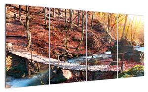 Obraz mostu - podzimní cesta lesem (160x80cm)