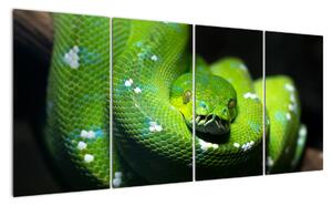 Obraz zvířat - had (160x80cm)