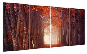 Podzimní les - obraz (160x80cm)