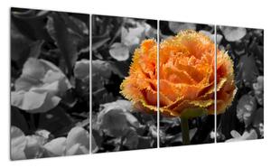 Oranžový květ na černobílém pozadí - obraz (160x80cm)