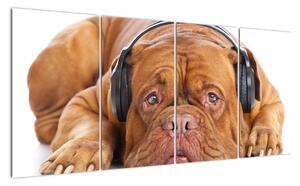 Moderní obraz - pes se sluchátky (160x80cm)