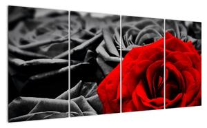 Obraz červené růže (160x80cm)