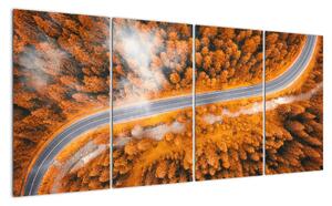 Cesta lesem - moderní obrazy na zeď (160x80cm)