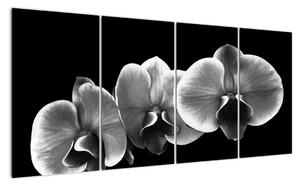 Černobílý obraz - orchidej (160x80cm)