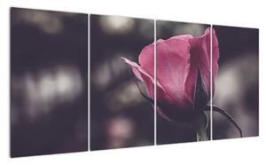 Obraz růže (160x80cm)