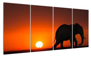 Obraz slona v zapadajícím slunci (160x80cm)