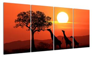 Obraz žirafy při západu slunce (160x80cm)