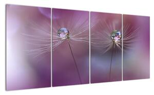 Obraz - květ s kapkami vody (160x80cm)