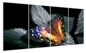 Motýl na listu - obraz (160x80cm)