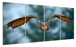 Obraz letící sovy (160x80cm)