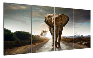 Obraz kráčejícího slona (160x80cm)