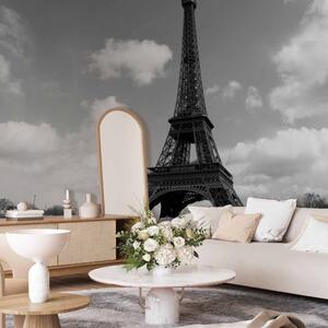 Fototapeta Městská architektura Paříže - řeka Seina tekoucí kolem Eiffelovy věže