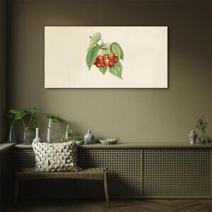 Obraz na skle Obraz na skle Ovocné třešně větve listy