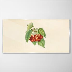 Obraz na skle Obraz na skle Ovocné třešně větve listy