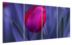 Obraz - tulipán (160x80cm)