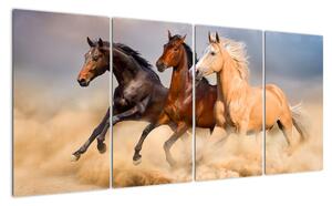 Moderní obraz koní (160x80cm)