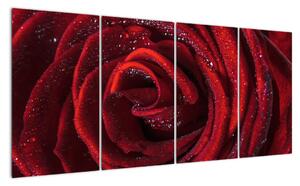 Obraz rudé růže (160x80cm)