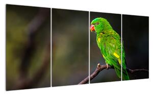 Obraz zeleného papouška (160x80cm)