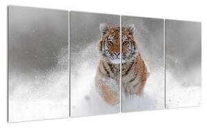Obraz běžícího tygra (160x80cm)