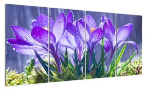 Obraz květů při dešti (160x80cm)