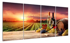 Obraz - víno a vinice při západu slunce (160x80cm)