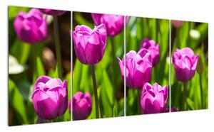 Obraz kvetoucích tulipánů (160x80cm)