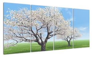 Obraz kvetoucího stromu na jarní louce (160x80cm)