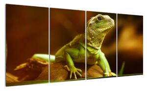 Obraz na zeď - zvířata (160x80cm)